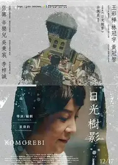 日光树影