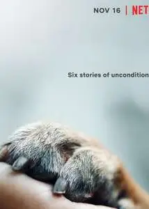 爱犬情深