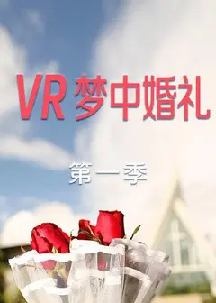 VR梦中婚礼第一季