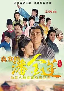大明奇冤