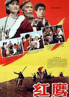 红鹰