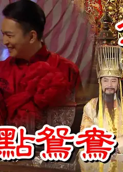 戏说台湾之天公点鸳鸯