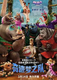 奇迹梦之队（国语版）