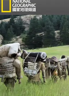 活在荒野