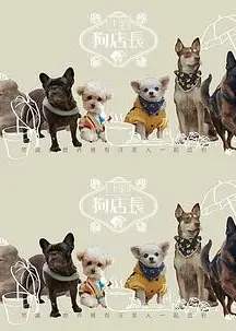 狗店长粤语