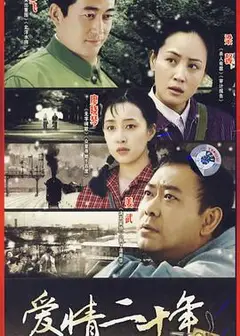 爱情二十年