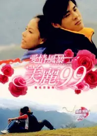 爱情风暴美丽99