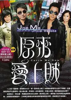 原来爱上贼粤语