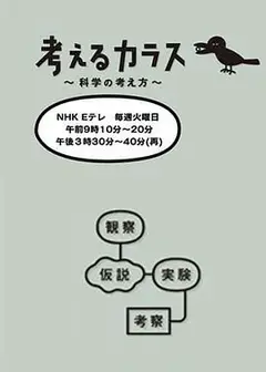 像乌鸦一样思考
