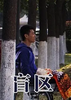 盲区