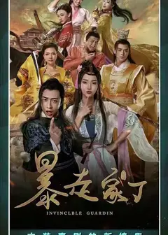 暴走家丁