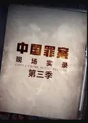 罪案现场实录第三季