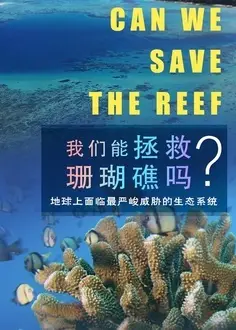我们能拯救珊瑚礁吗