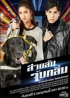 侦探K9普国语