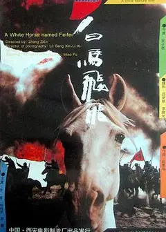 白马飞飞