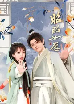 昭昭如愿