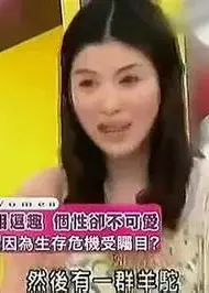 聊聊大明星