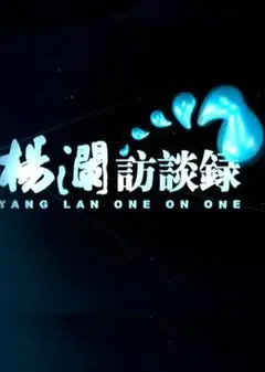 杨澜访谈录2014