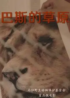 巴斯的草原