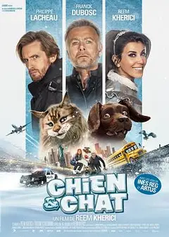 猫狗大乱斗