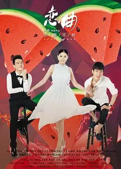 恋曲之无爱不欢