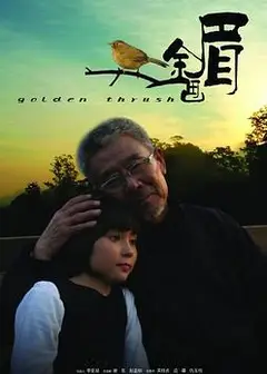 金画眉