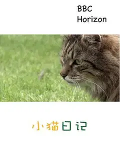 地平线系列：小猫日记