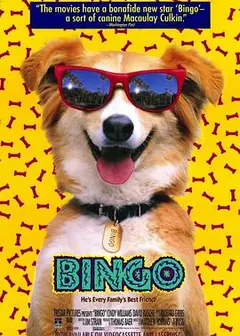 灵犬宾果