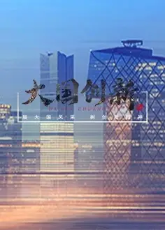 大国创新