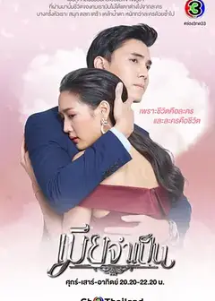 非婚不可เมียจำเป็น