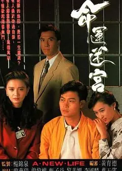 命运迷宫粤语版