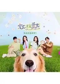 宠他，还是爱我？