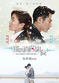 我的真芯男友
