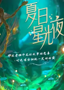 夏日星光夜第一季