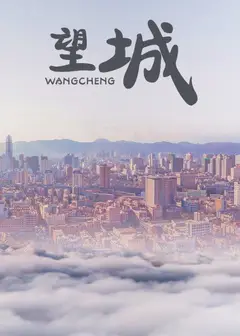 望城