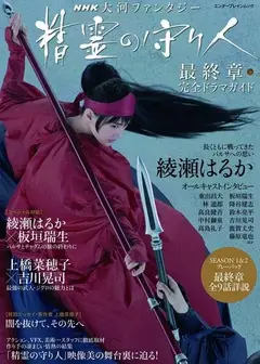 精灵守护者最终章