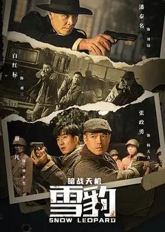 雪豹之暗战天机