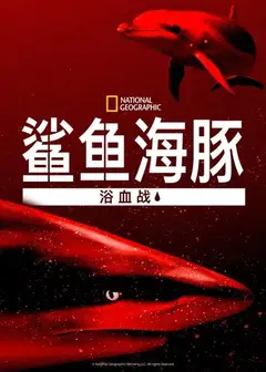 鲨鱼海豚浴血战