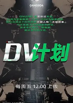 DV计划