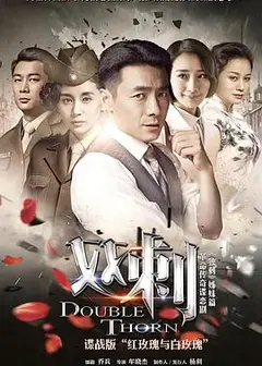双刺DVD版