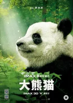 大熊猫