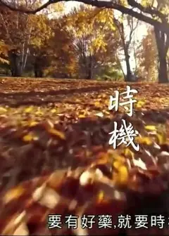 神奇百草游粤语