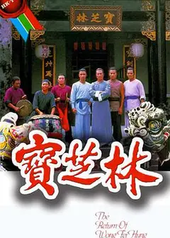 宝芝林