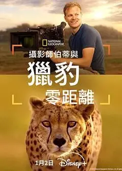 摄影师贝尔蒂与猎豹零距离