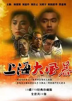 上海大风暴普通话版