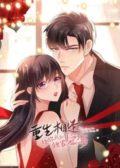 重生相逢：给你我的独家宠溺