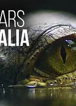 狂野澳洲第四季