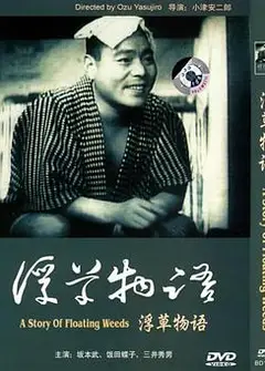 浮草物语
