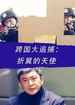 跨国大追捕：折翼的天使