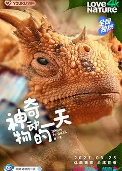 神奇动物的一天 第一季